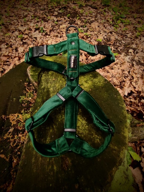 Szelki guard - welurowy las - 3